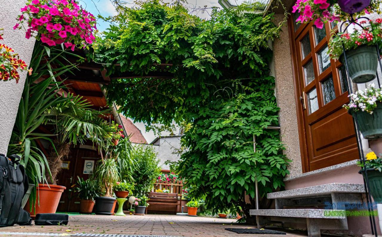 Pension Borna Extérieur photo