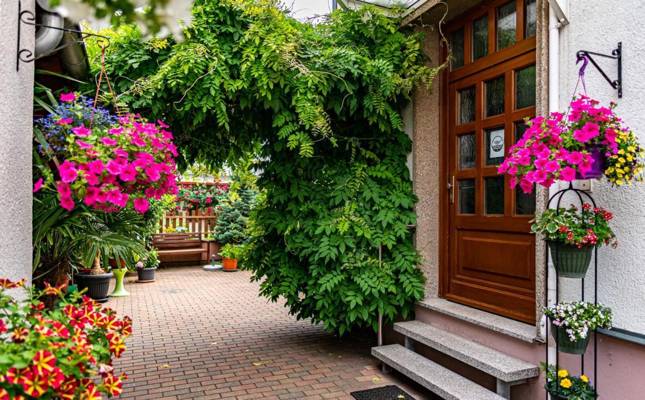 Pension Borna Extérieur photo
