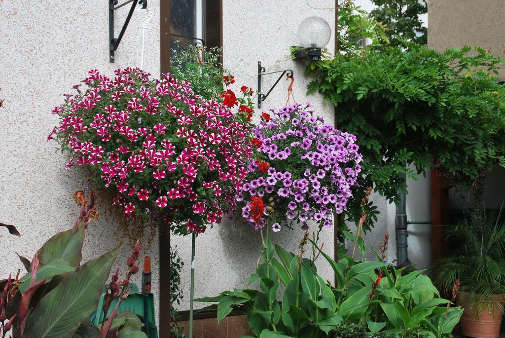Pension Borna Extérieur photo