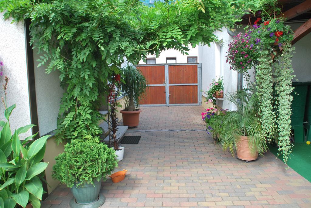 Pension Borna Extérieur photo